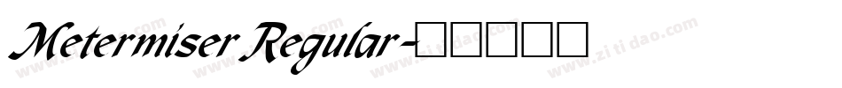 Metermiser Regular字体转换